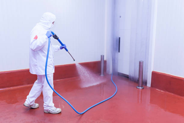 Best Concrete Sealing  in Mission, TX
