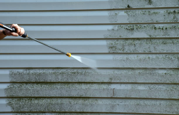 Best Dumpster Area Cleaning  in Mission, TX