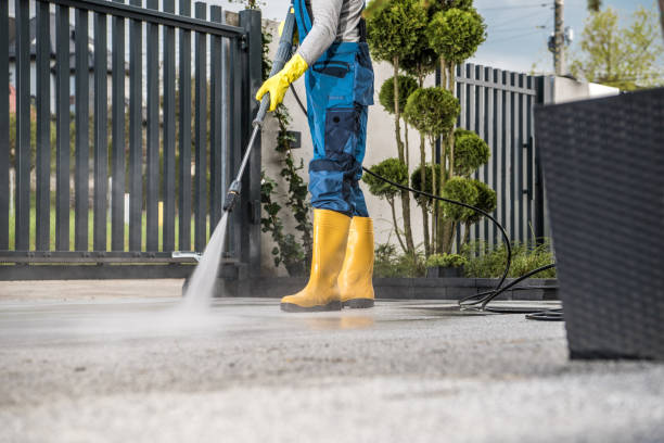 Best Solar Panel Cleaning  in Mission, TX