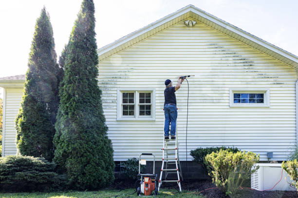 Best Building Exterior Washing  in Mission, TX